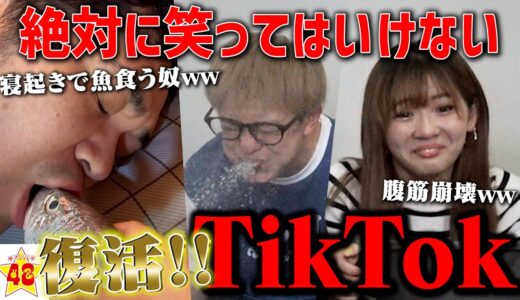 【復活】神企画シリーズ！絶対に笑ってはいけないTikTok!! 【第1弾】