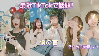 【最近TikTokで流行ってる曲メドレーPart24】最近韓国で流行中の曲をTikTokerでメドレー！