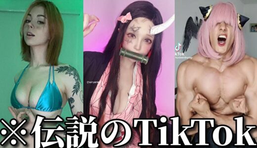 【神回】ネットでバズったTikTokがツッコミどころ満載だったｗｗ【鬼滅の刃】【遊郭編】【刀鍛冶の里編】【アンパンマン】【ドラゴンボール】【ワンピース】【呪術廻戦】【東京リベンジャーズ】【ドラえもん】