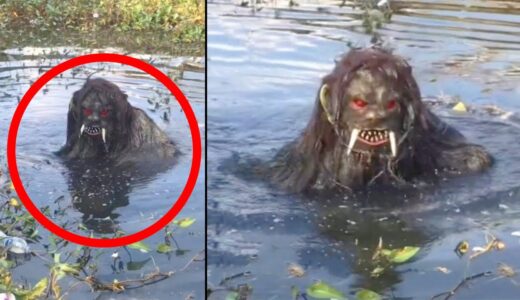 30 Scary Videos That’ll Make You Question Everything