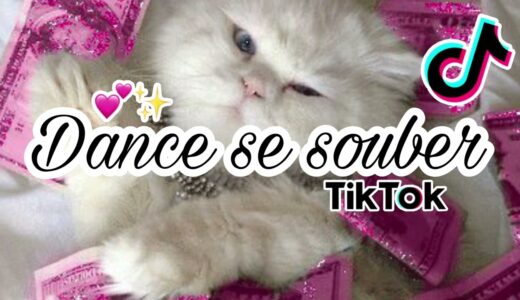 ~Dance se souber~Tiktok mashup💕