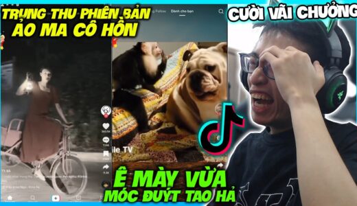 RƯỚC ĐÈN TRUNG THU PHIÊN BẢN ẢO MA VÀ CHÚ CÚN BẤT NGỜ BỊ KHỈ MÓC ĐUÝT | HÙNG AKIRA XEM TIK TOK VN