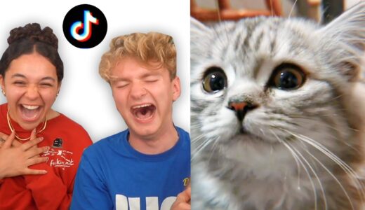 We Found Actually Funny TikToks...