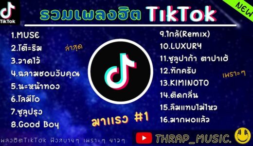 รวมเพลงฮิตในTikTokล่าสุด รวมเพลงฮิตในแอพติ๊กต๊อกล่าสุด