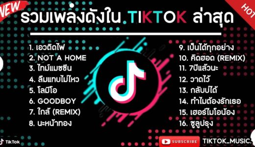 รวมเพลงดังในTikTokล่าสุด รวมเพลงฮิตในแอพติ๊กต๊อกล่าสุด เพราะๆฟังสบายๆ