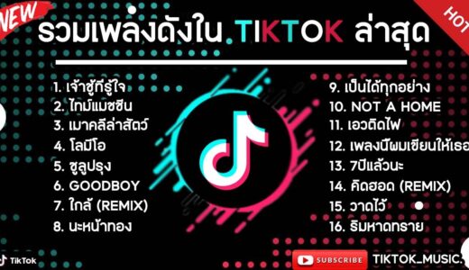 รวมเพลงดังในTikTokล่าสุด รวมเพลงฮิตในแอพติ๊กต๊อกล่าสุด เพราะๆฟังสบายๆ