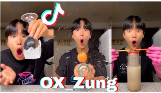 OX ZUNG FUNNY TIKTOK VIDEOS Ox Zung Mama Seo WonJeong Tik Tok Videos