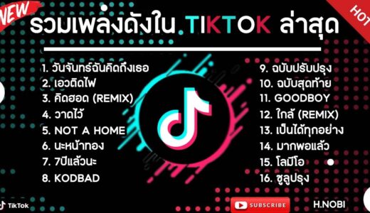 รวมเพลงดังในTikTokล่าสุด รวมเพลงฮิตในแอพติ๊กต๊อกล่าสุด เพราะๆฟังสบายๆ