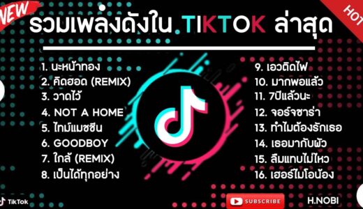 รวมเพลงดังในTikTokล่าสุด รวมเพลงฮิตในแอพติ๊กต๊อกล่าสุด เพราะๆฟังสบายๆ