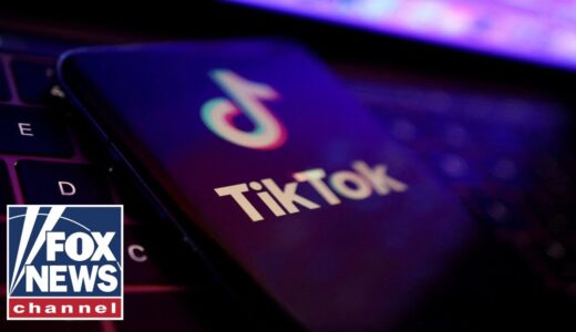 Bipartisan bill would ban TikTok nationwide ‘before it’s too late’