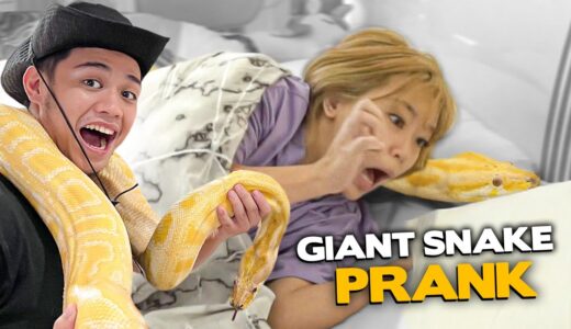 GIANT SNAKE PRANK sa BG HOUSE - AWAY NA 'TO!