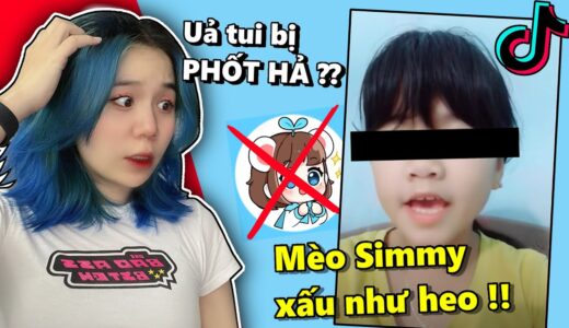 Mình Bị PHỐT TRÊN TIK TOK !! | Mèo Simmy Reaction Tik Tok Hero Team |