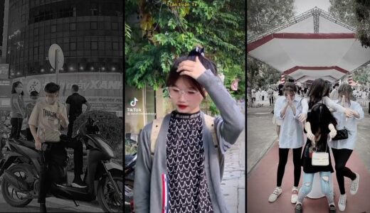 Tổng Hợp Những Video Của Các Idol TikTok #151 l Trần Luân Tv