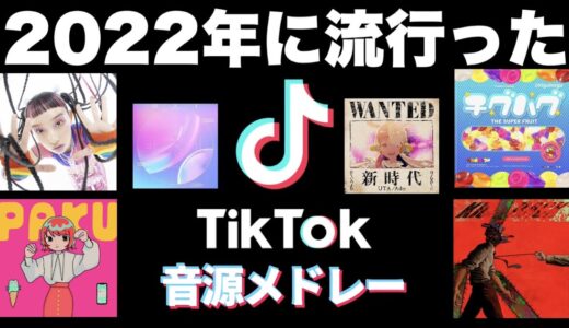 【TikTok】全部知ってたら依存性！？2022年流行ったTikTok音源メドレー！