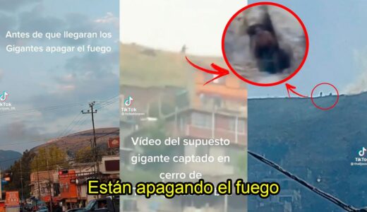 EL IMPACTANTE VIDEO de unos GIGANTES APAGANDO un INCENDlO en una Montaña de México