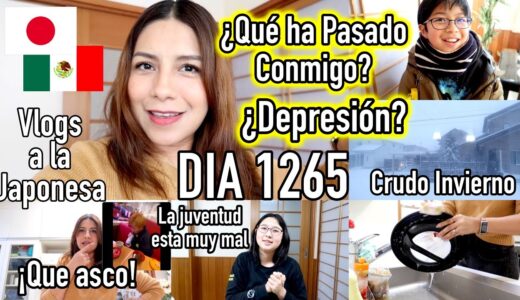 Estoy de Vuelta ¿Porqué me Desaparecí? + Retos Tontos de TikTok JAPÓN - Ruthi San ♡ 01-02-23