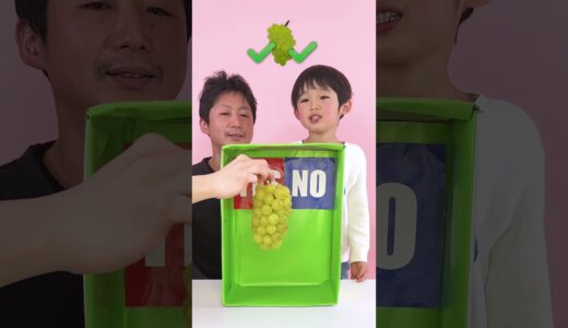 【TikTok1000万再生】親子でYES OR NO #shorts #tiktok #YESorNO