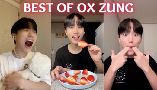 Would you try this with me?? #oxzung  #mama Funny Tiktok Videos