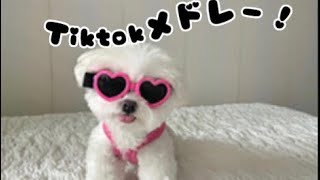 【最新】Tiktokメドレー❣️かなり最新です!!!!🫢💗是非聞き流してください❤︎