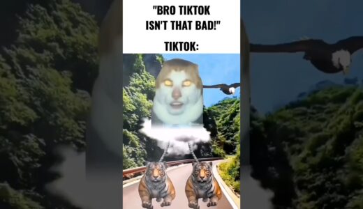 TikTok moment 💀