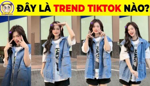 Quẩy Tung TikTok Cùng 14+9 Hot Trend Cực Hot Và 10 Bài Hát TikTok Mới Nhất Mà Bạn Chưa Biết #tiktok