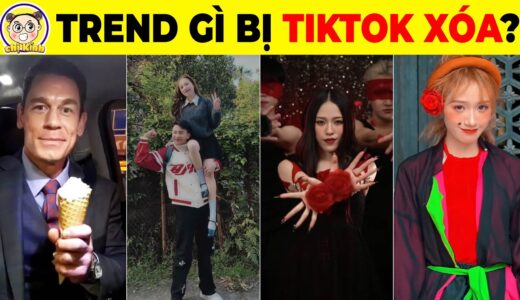 Sốc Với 15+9 Hot Trend TikTok Bị Cấm Và Xóa Vĩnh Viễn Khiến Nhiều TikToker Cũng Ngỡ Ngàng #tiktok