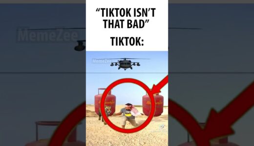 TikTok Moment🗿