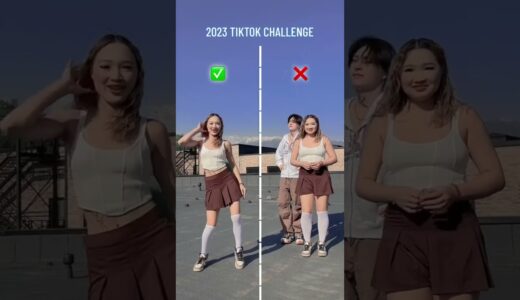 2023 TikTok challenge 😜 #DreamTeam #TikTok #Shorts #TiktokTrend #Trending #ytshorts #tiktokvideo