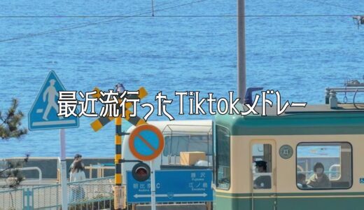 【流行り】最近流行ったTiktokメドレー🌦