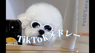 流行りのTikTokメドレー🥰🥰