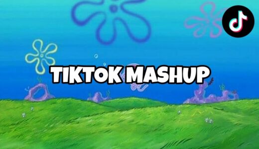 TIKTOK MASHUP 2023 (NOVEMBER)🌊