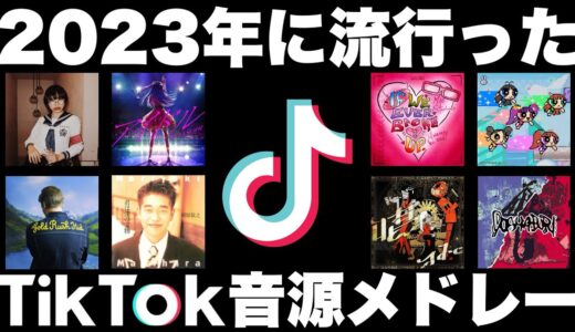 【TikTok】全部歌えたら依存性！？2023年に流行ったTikTok音源メドレー！【最後には・・・】